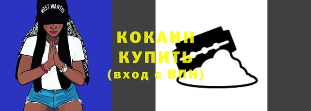 меф Бородино